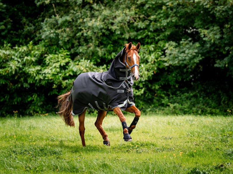 Turnout blankets: denier, fill, and what you actually need