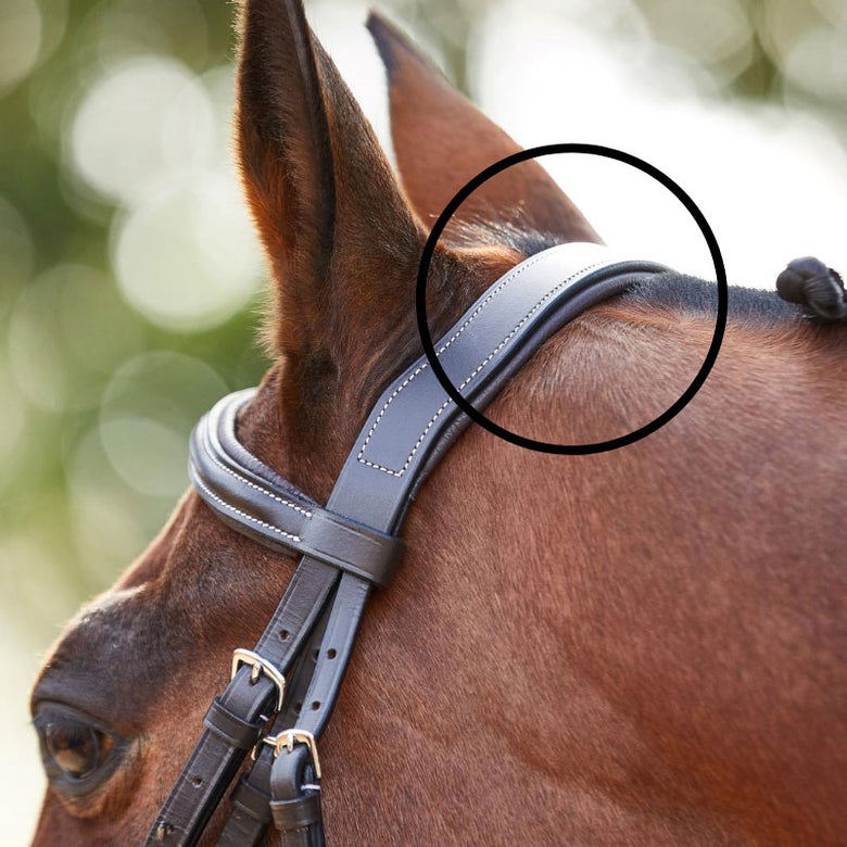 Bridle fit and styles, decoded