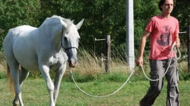 Working with a spooky horse without making it worse