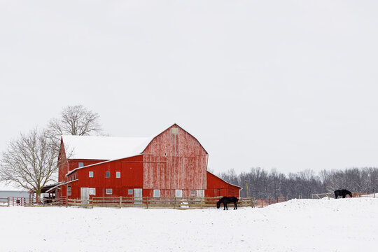 Winter horse care: water, blankets, and the things people forget